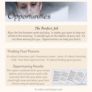 Opportunities Career Report